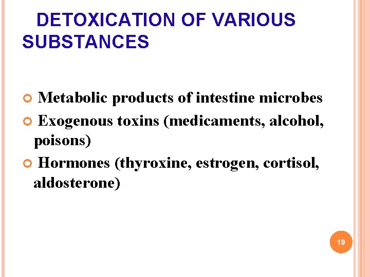 DETOXICATION OF VARIOUS SUBSTANCES Metabolic products of intestine microbes Exogenous toxins (medicaments, alcohol, poisons)