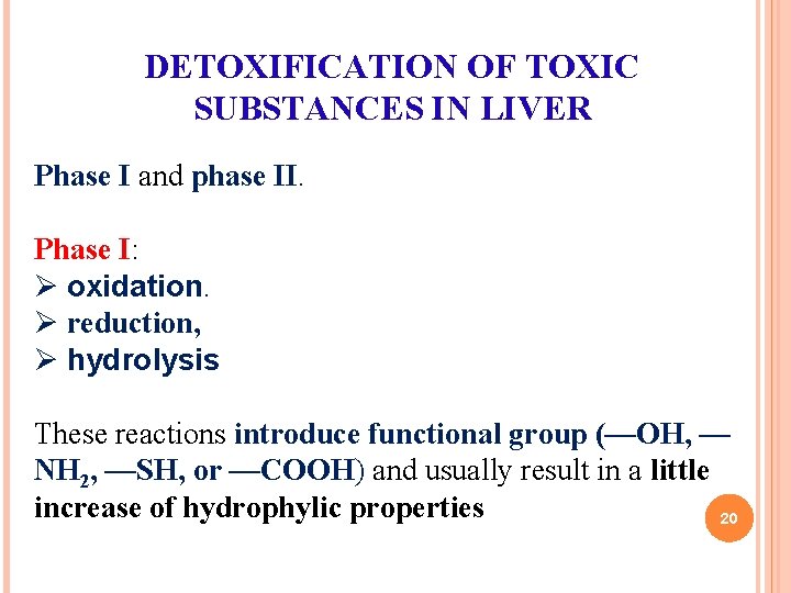 DETOXIFICATION OF TOXIC SUBSTANCES IN LIVER Phase I and phase II. Phase I: Ø