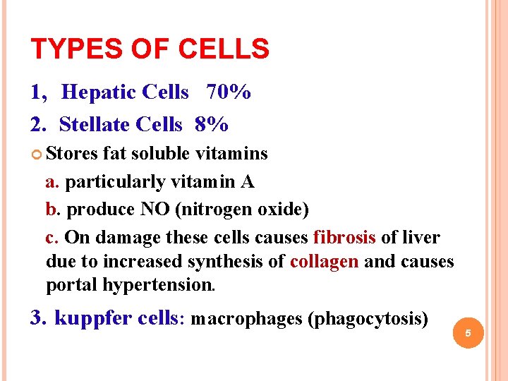 TYPES OF CELLS 1, Hepatic Cells 70% 2. Stellate Cells 8% Stores fat soluble