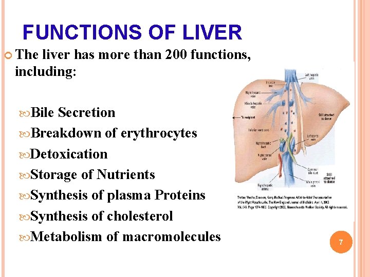 FUNCTIONS OF LIVER The liver has more than 200 functions, including: Bile Secretion Breakdown