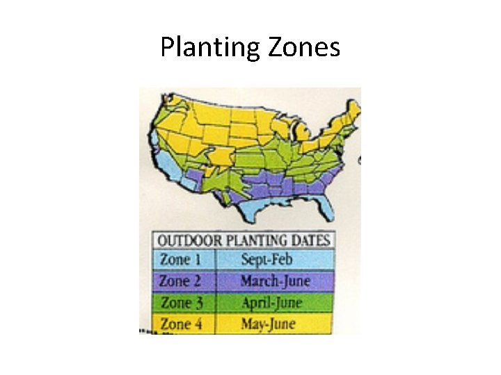 Planting Zones Planting Zones