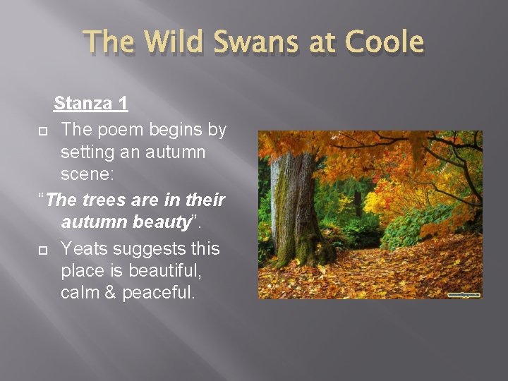 The Wild Swans at Coole Stanza 1 The poem begins by setting an autumn