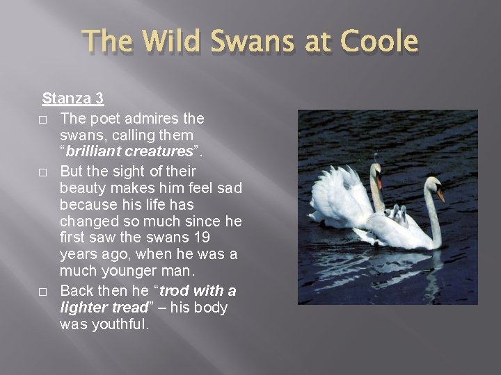 The Wild Swans at Coole Stanza 3 � The poet admires the swans, calling
