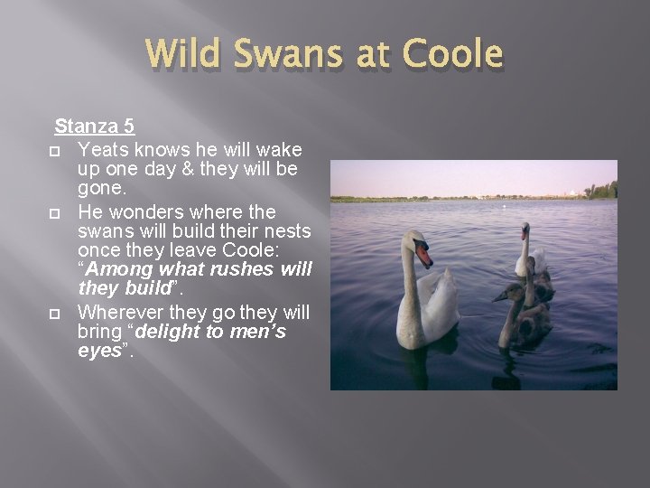 Wild Swans at Coole Stanza 5 Yeats knows he will wake up one day
