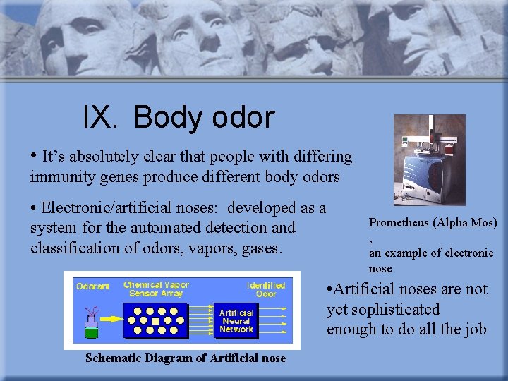 IX. Body odor • It’s absolutely clear that people with differing immunity genes produce