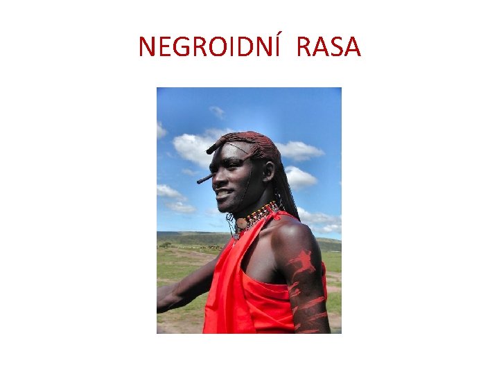 NEGROIDNÍ RASA 