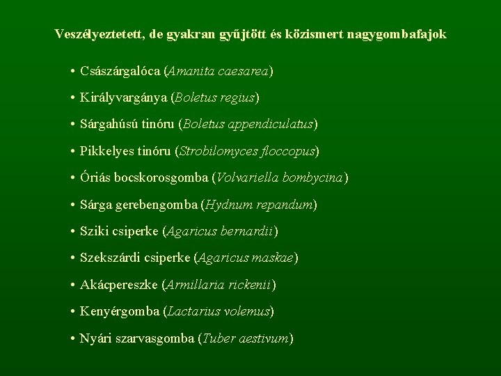 Veszélyeztetett, de gyakran gyűjtött és közismert nagygombafajok • Császárgalóca (Amanita caesarea) • Királyvargánya (Boletus