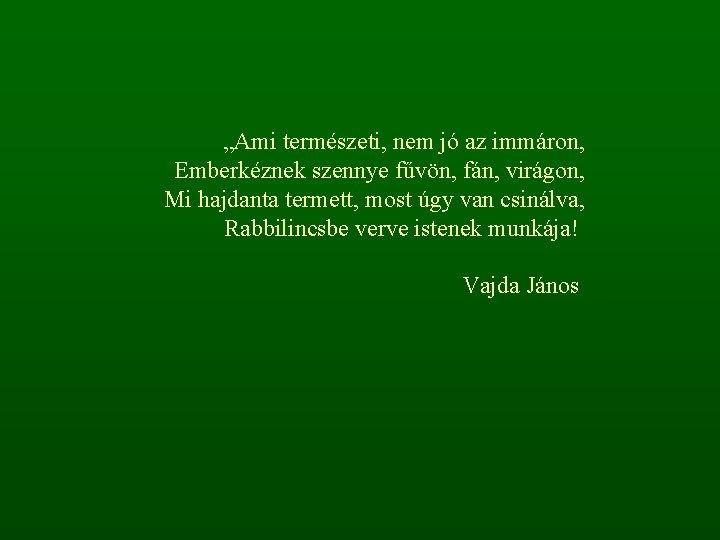 „Ami természeti, nem jó az immáron, Emberkéznek szennye fűvön, fán, virágon, Mi hajdanta termett,