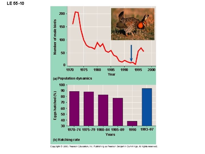 LE 55 -10 Number of male birds 200 150 100 50 0 1975 1980