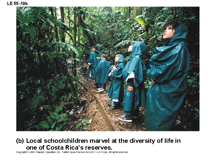 LE 55 -19 b Local schoolchildren marvel at the diversity of life in one