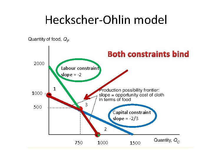 Heckscher-Ohlin model Both constraints bind 2000 1000 Labour constraint slope = -2 1 3