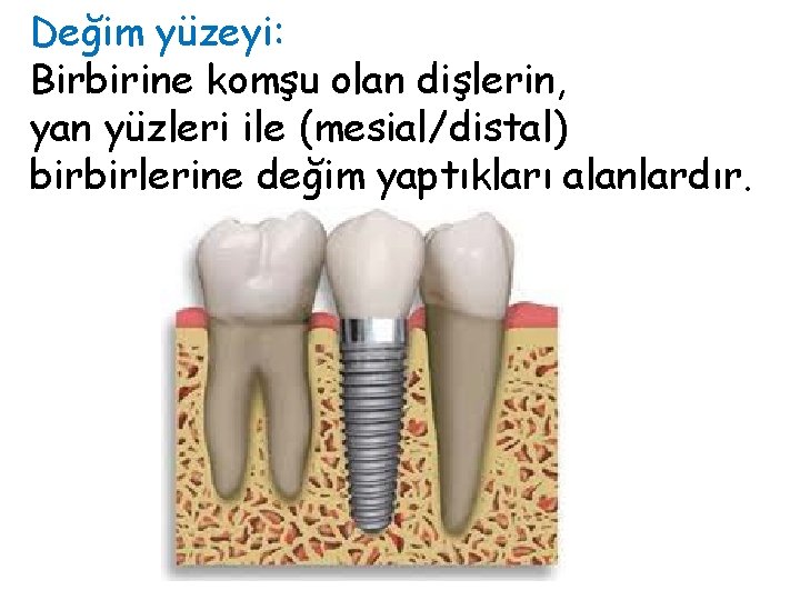 Değim yüzeyi: Birbirine komşu olan dişlerin, yan yüzleri ile (mesial/distal) birbirlerine değim yaptıkları alanlardır. Değim yüzeyi: Birbirine komşu olan dişlerin, yan yüzleri ile (mesial/distal) birbirlerine değim yaptıkları alanlardır.