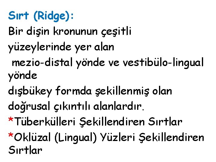 Sırt (Ridge): Bir dişin kronunun çeşitli yüzeylerinde yer alan mezio-distal yönde ve vestibülo-lingual yönde Sırt (Ridge): Bir dişin kronunun çeşitli yüzeylerinde yer alan mezio-distal yönde ve vestibülo-lingual yönde