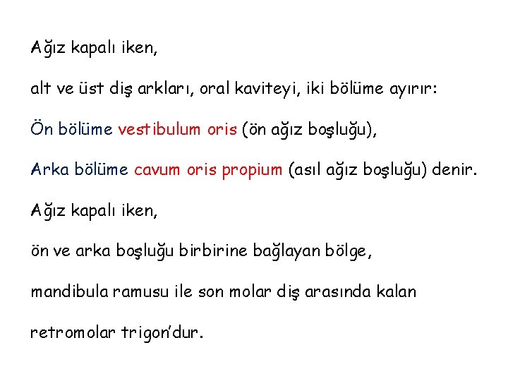 Ağız kapalı iken, alt ve üst diş arkları, oral kaviteyi, iki bölüme ayırır: Ön Ağız kapalı iken, alt ve üst diş arkları, oral kaviteyi, iki bölüme ayırır: Ön