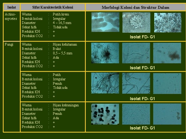 Isolat Actinomycetes Fungi Sifat Karakteristik Koloni Warna Bentuk koloni Diameter Sekat hifa Reduksi KH Isolat Actinomycetes Fungi Sifat Karakteristik Koloni Warna Bentuk koloni Diameter Sekat hifa Reduksi KH