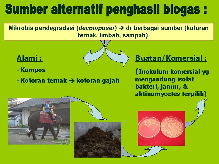 Mikrobia pendegradasi (decomposer) dr berbagai sumber (kotoran ternak, limbah, sampah) Alami : Buatan/Komersial : Mikrobia pendegradasi (decomposer) dr berbagai sumber (kotoran ternak, limbah, sampah) Alami : Buatan/Komersial :