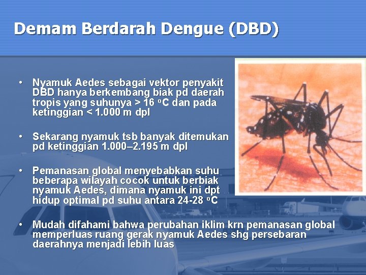 Demam Berdarah Dengue (DBD) • Nyamuk Aedes sebagai vektor penyakit DBD hanya berkembang biak