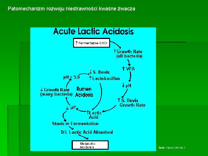 Patomechanizm rozwoju niestrawności kwaśne żwacza Źródło: J Dri Sci 1997, 80, 5 