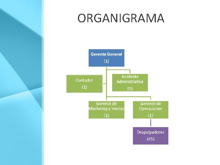 ORGANIGRAMA 