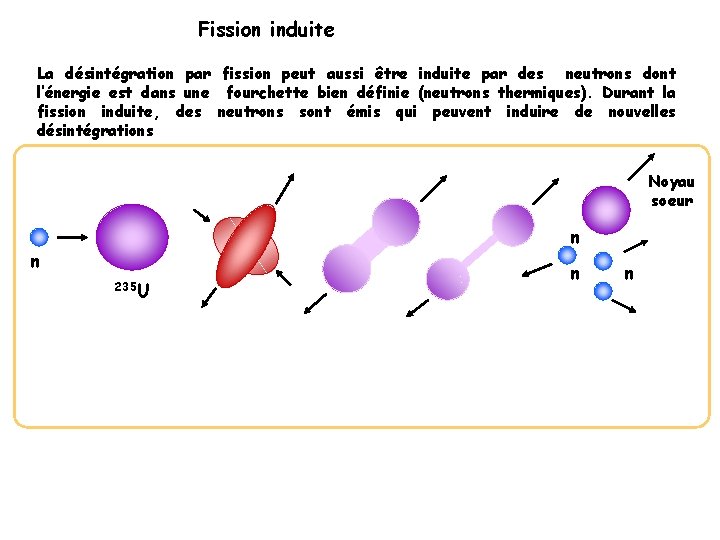 Fission induite La désintégration par fission peut aussi être induite par des neutrons dont