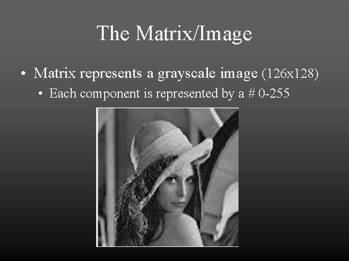 The Matrix/Image • Matrix represents a grayscale image (126 x 128) • Each component