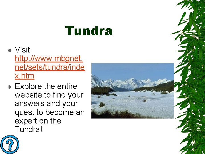 Land Biomes 5 th Grade Presented by Todd