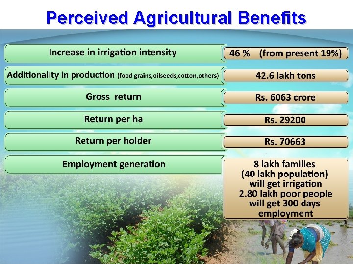 Perceived Agricultural Benefits 