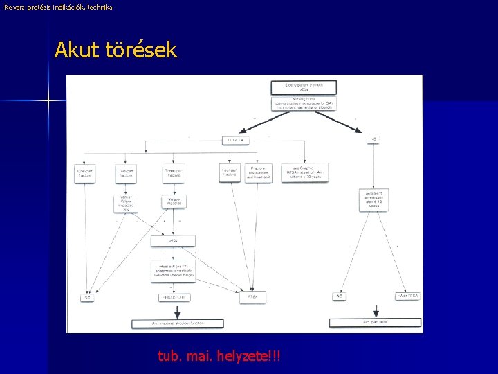 Reverz protézis indikációk, technika Akut törések tub. mai. helyzete!!! 