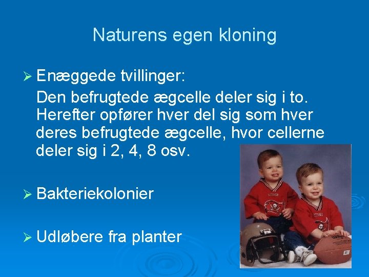 Naturens egen kloning Ø Enæggede tvillinger: Den befrugtede ægcelle deler sig i to. Herefter