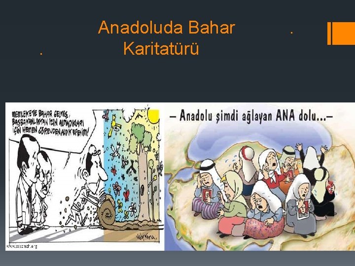 Anadoluda Bahar Karitatürü . , . 