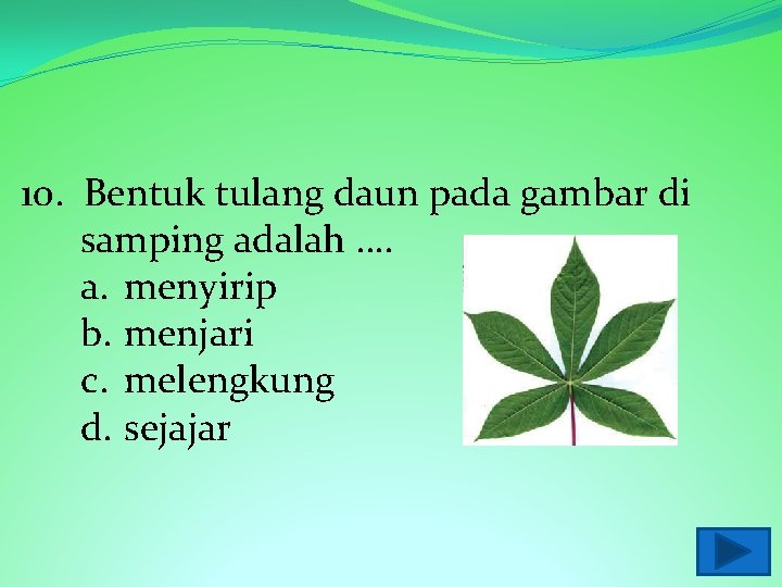 10. Bentuk tulang daun pada gambar di samping adalah …. a. menyirip b. menjari