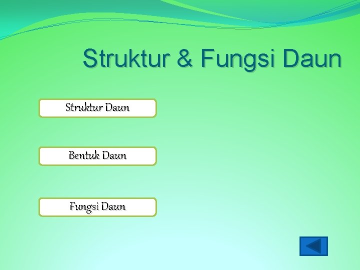 Struktur & Fungsi Daun Struktur Daun Bentuk Daun Fungsi Daun 