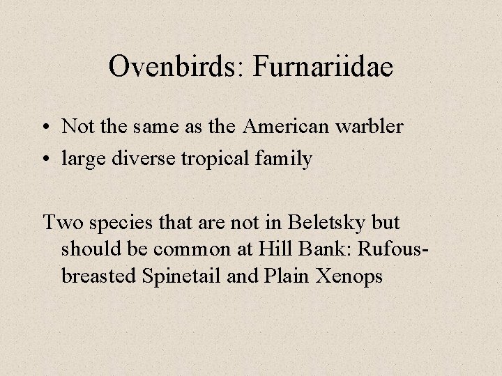 Ovenbirds: Furnariidae • Not the same as the American warbler • large diverse tropical