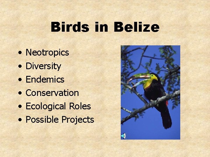 Birds in Belize • • • Neotropics Diversity Endemics Conservation Ecological Roles Possible Projects