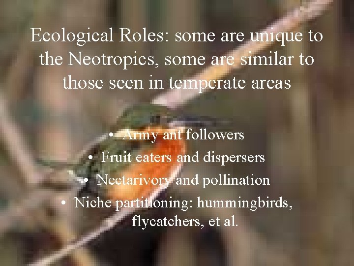 Ecological Roles: some are unique to the Neotropics, some are similar to those seen