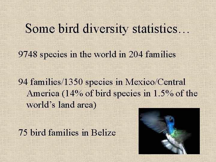 Some bird diversity statistics… 9748 species in the world in 204 families 94 families/1350