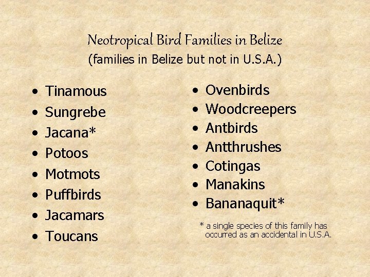 Neotropical Bird Families in Belize (families in Belize but not in U. S. A.