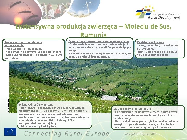 Ekstensywna produkcja zwierzęca – Moieciu de Sus, Rumunia © S. Huband Zrównoważone zaopatrzenie w