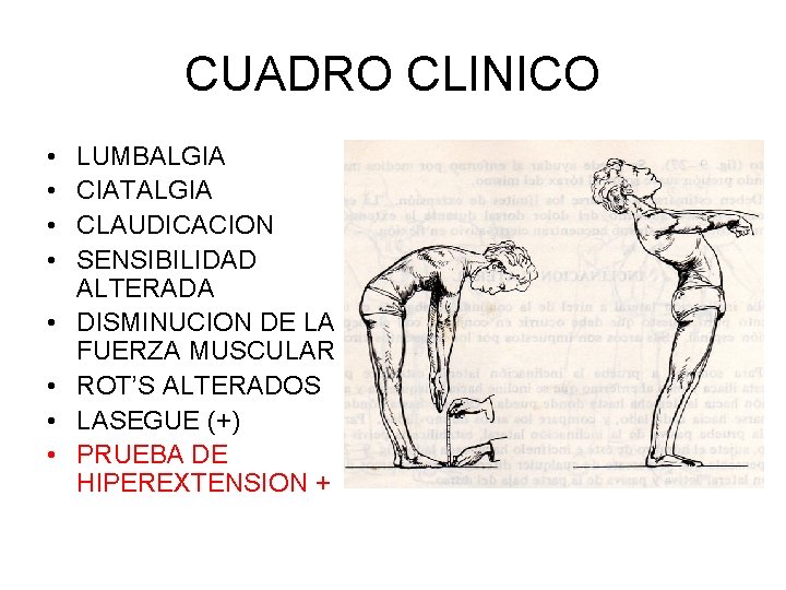 CUADRO CLINICO • • LUMBALGIA CIATALGIA CLAUDICACION SENSIBILIDAD ALTERADA DISMINUCION DE LA FUERZA MUSCULAR