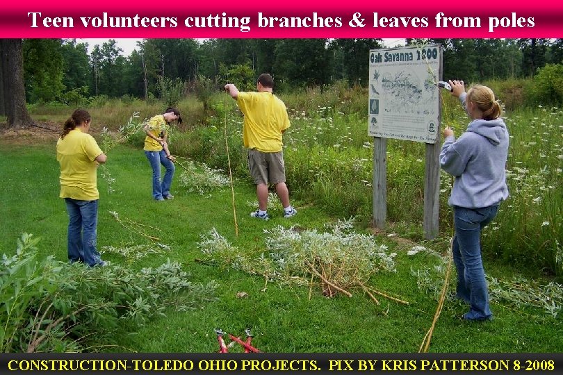 Teen volunteers cutting branches & leaves from poles CONSTRUCTION-TOLEDO OHIO PROJECTS. PIX BY KRIS