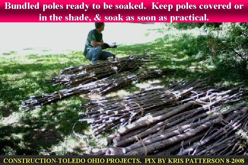 Bundled poles ready to be soaked. Keep poles covered or in the shade, &