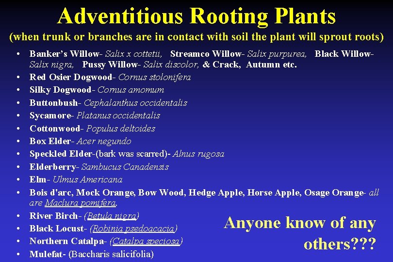 Adventitious Rooting Plants (when trunk or branches are in contact with soil the plant