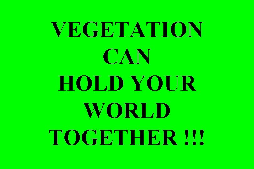 VEGETATION CAN HOLD YOUR WORLD TOGETHER !!! 