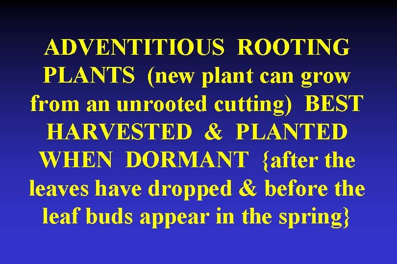 ADVENTITIOUS ROOTING PLANTS (new plant can grow from an unrooted cutting) BEST HARVESTED &