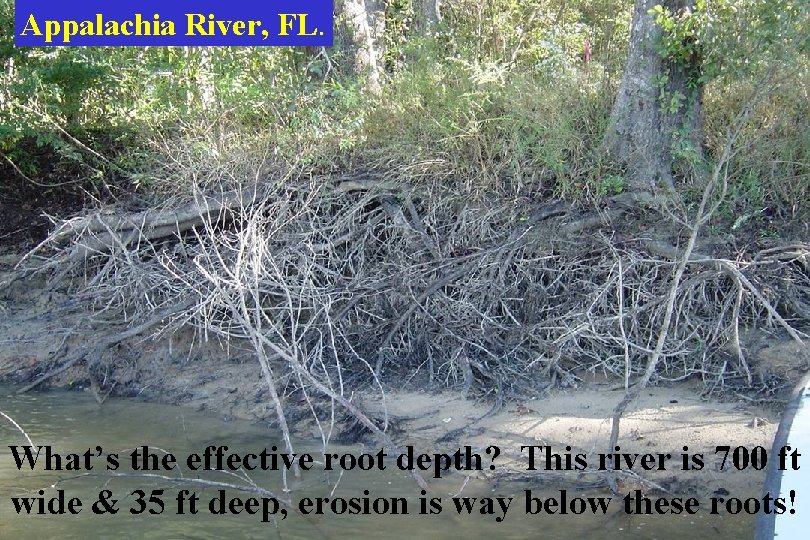 Appalachia River, FL. What’s the effective root depth? This river is 700 ft wide