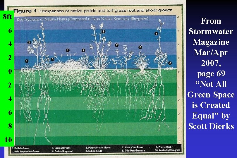 8 ft 6 4 2 0 2 4 6 8 10 From Stormwater Magazine