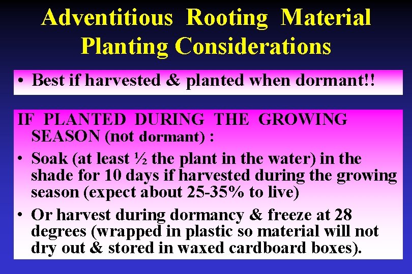 Adventitious Rooting Material Planting Considerations • Best if harvested & planted when dormant!! IF