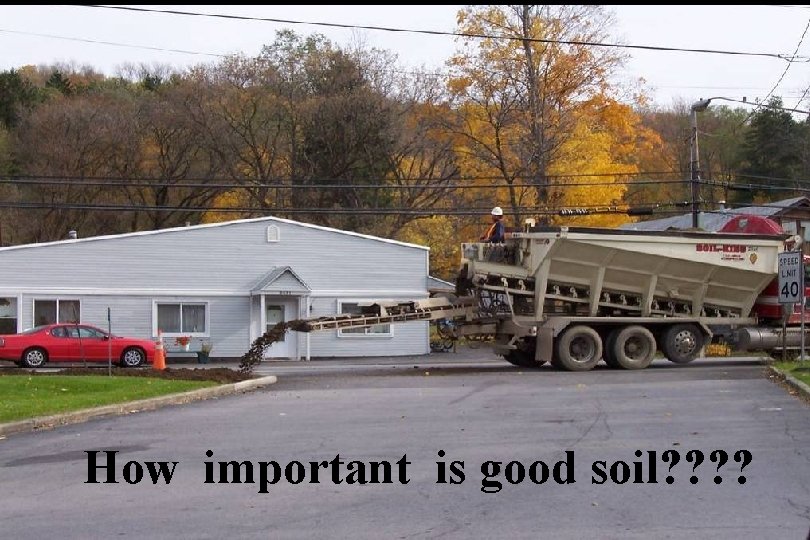 How important is good soil? ? 