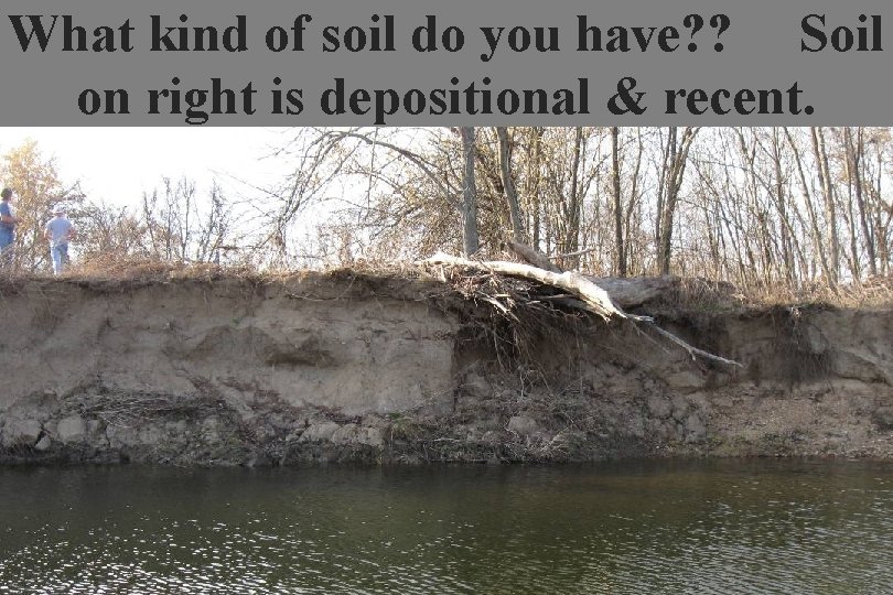 What kind of soil do you have? ? Soil on right is depositional &