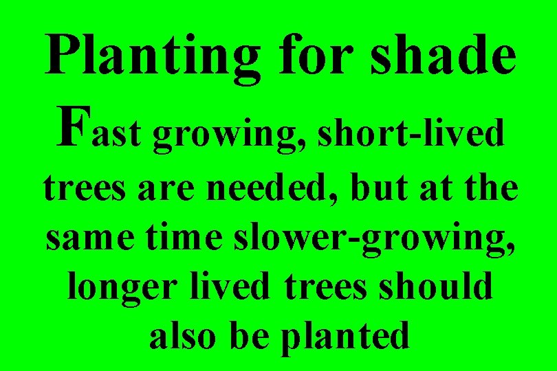 Planting for shade Fast growing, short-lived trees are needed, but at the same time